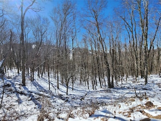 479 El Miner Dr, Mars Hill, NC 28754