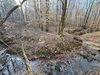 0 Liberty Rd, Goodwater, AL 35072