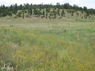 Lot 25 the Ranch at Alpine, Alpine, AZ 85920