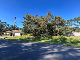 152 Plainview Dr, Palm Coast, FL 32164