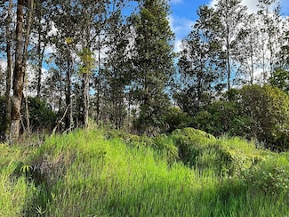 0 Ohialani Rd Unit 706860, Volcano, HI 96785