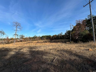 Highlands lot 4 Us Highway 425 S, Monticello, AR 71655