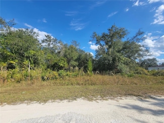 9460 Rousseau St, Ridge Manor, FL 33597