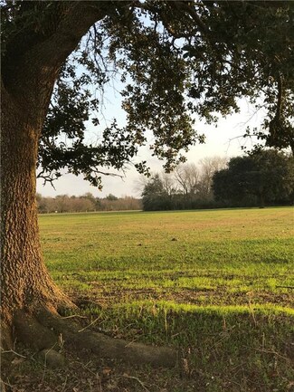 TBD Louisiana 384, Bell City, LA 70630