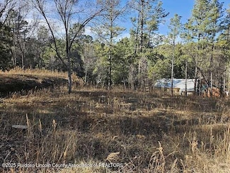 512 5th St, Ruidoso, NM 88345