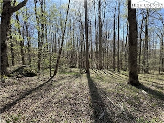 TBD Katie Ln, Bakersville, NC 28705