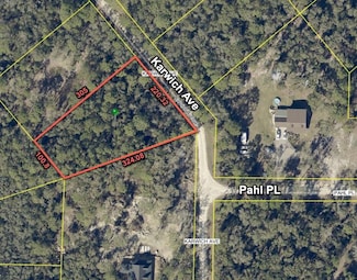 6450 Karwich Ave, Webster, FL 33597