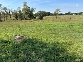 1 Redwood Trail, Saline Township, MO 63456