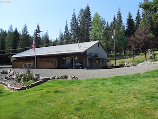 61384 Old Ski Run Rd, Joseph, OR 97846