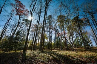 14 Woodtrail Way Unit 28, Avery Creek, NC 28704