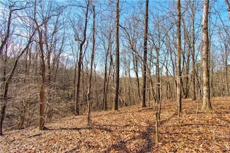 600 Chapman Ridge Ln, Dahlonega, GA 30564