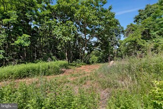 21 Wapping Farm Rd, Front Royal, VA 22630