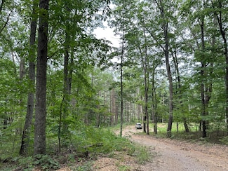 Lot C Freeman Branch Rd, East Bernstadt, KY 40729