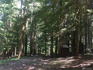 6 Deer Ln, Cougar, WA 98616