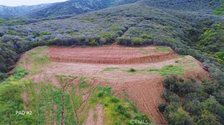 2 Plummers Ln, Mentone, CA 92359