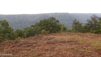 442 Valley View Cir, Wilder, TN 38589