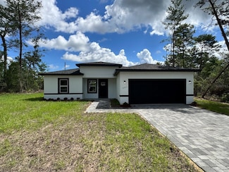 16463 SW 55th Court Rd, Ocala, FL 34473