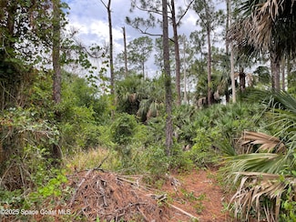 662 Sanford St SW, Palm Bay, FL 32908