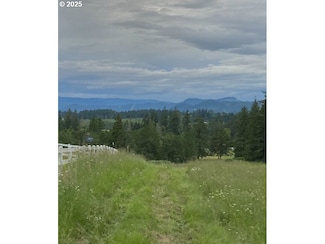 0 Lazy E Way Parcel 3 Unit 291367708, Creswell, OR 97426