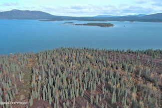 L3B1 Grizzly Rd, Aleknagik, AK 99555