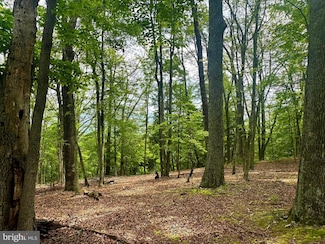 5620 High Knob Loop, Old Fields, WV 26845