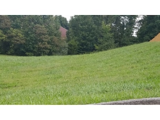 #4 Clearwater Dr, Unicoi, TN 37692