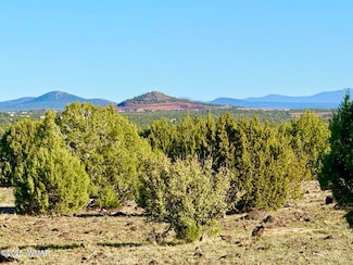 0 Mustang Ln Lots F & H 5 Acre Unit 258692, Show Low, AZ 85901