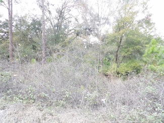 0 Property Location Is Not Avail Unit MFRV4940729, Deland, FL 32724
