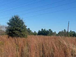 329 Cardinal Dr, Paige, TX 78659