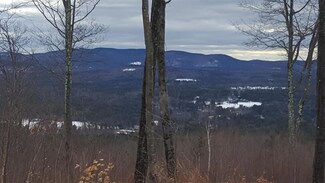 Lot 44 Meadow, Newbury, NH 03255