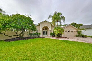 6508 Steeplechase Dr, Tampa, FL 33625