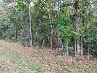 0000 Tbd Fm 1725, Cleveland, TX 77328