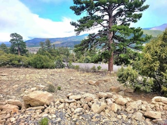TBD Little Bear Circle Lot 55, South Fork, CO 81154