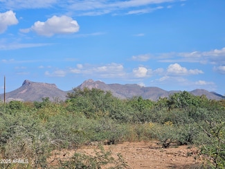 TBD N La Espada Cir Unit 2742, Douglas, AZ 85607