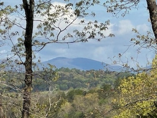 TRACT1 Panorama Dr, Dahlonega, GA 30533