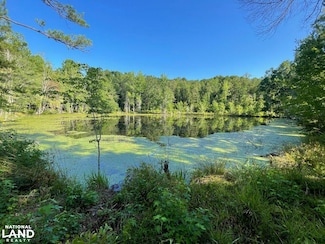 0 Sylvan Loop Rd, Fosters, AL 35463