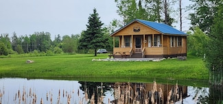 795 E Swede Rd, Cedarville, MI 49719