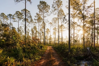 200 N Lee St, Valdosta, GA 31601