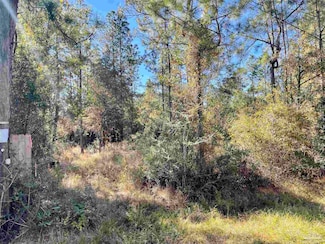 00 (Lot A & B) Edith Ave, Milton, FL 32570