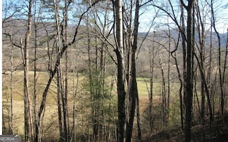 #39 Pinecrest Rd, Young Harris, GA 30582