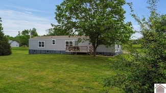2619 Wickliffe Rd, Wickliffe, KY 42087