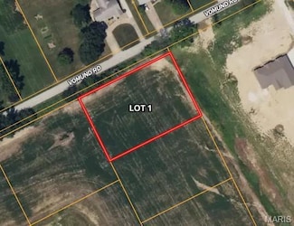 100 McMorland Dr, O'Fallon, MO 63366