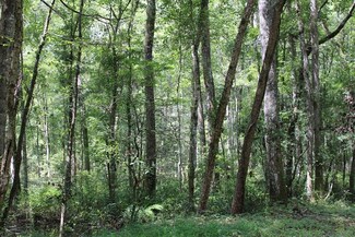 0 Geddisville Rd, Adams Run, SC 29426