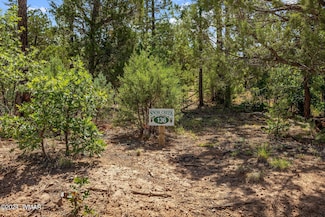 1011 W Snow Creek Trail, Show Low, AZ 85901