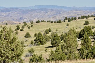 0000 Hwy 218 Hwy, Antelope, OR 97001