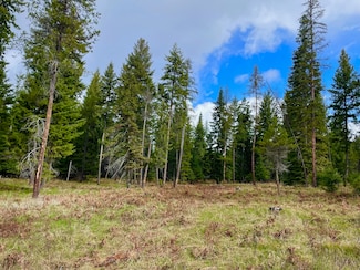 nhn Big Fir Dr, Thompson Falls, MT 59873