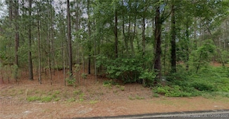 34 Peach Orchard Rd, Wagram, NC 28396