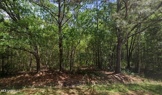 0 Petite Acres Dr, Bay Saint Louis, MS 39520