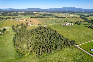 1171 Allen Rd, Elk, WA 99009