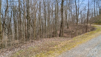 TBD Wolverine Ct Unit 42, Jonathan Creek, NC 28785